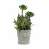Plantă decorativă Ibergarden XD181181 Plută Plastic Flori Câmp 10 x 25 x 10 cm (12 Unități)