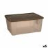 Cutie de depozitare cu capac Stefanplast Elegance Maro Plastic 29 x 17 x 39 cm (6 Unități)