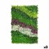 Set pentru Grădină verticală Flori Câmp Multicolor Plastic 100 x 5 x 150 cm (8 Unități)