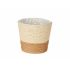 Ghiveci Ibergarden 86438 Maro Въже Plastic 16 x 14,5 x 16 cm (24 Unități)