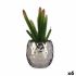 Plantă decorativă Ibergarden HY2-44 Ceramică Plastic Cactus 10 x 20 x 10 cm (6 Unități)