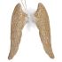 Ornament de Crăciun Aripi de Înger champagne Plastic Purpurină 12,5 x 15 x 2,5 cm (24 Unități)